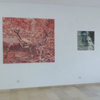 webstarkebilder1